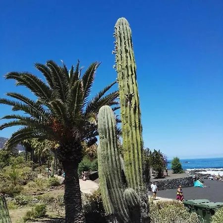 Apartamento Playa Jardín - Apt. El Principado